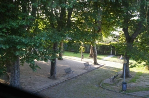 38.JPG