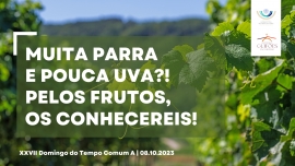 Liturgia e Homilias no XXVII Domingo Comum A 2023
