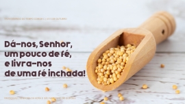 Liturgia e Homilias no XXVII Domingo Comum C 2025